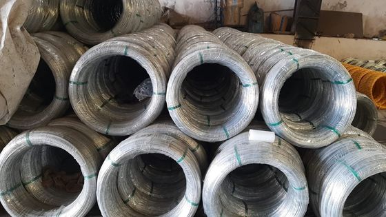 Μη κράμα SAE1006 Σύρμα Ζαλβανισμένο Χάλυβα Ζαλβανισμένο Χάλυβα Ζαλβανισμένο Χάλυβα Ζαλβανισμένο Χάλυβα Ζαλβανισμένο Χάλυβα Ζαλβανισμένο Χάλυβα Ζαλβανισμένο Χάλυβα Ζαλβανισμένο Χάλυβα Ζαλβανισμένο Χάλυβα Ζαλβανισμένο Χάλυβα Ζαλβανισμένο Χάλυβα Ζαλβανισμένο Χάλυβα Ζαλβανισμένο Χάλυβα Ζαλβανισμένο Χάλυβα Ζαλβανισμένο Χάλυβα Ζαλβανισμένο Χάλυβα Ζαλβανισμένο Χάλυβα Ζαλβανισμένο Χάλυβα Χάλυβα Χάλυβα Χάλυβα Χάλυβα Χάλυβα Χάλυβα Χάλυβα Χάλυβα Χάλυβα Χάλυβα Χάλυβα Χάλυβα Χάλυβα Χάλυβα Χάλυβα Χάλυβα Χάλυβ